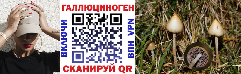 Псилоцибиновые грибы Cubensis  Конаково 