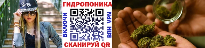 МЕГА сайт Конаково МАРИХУАНА сатива купить наркоту
